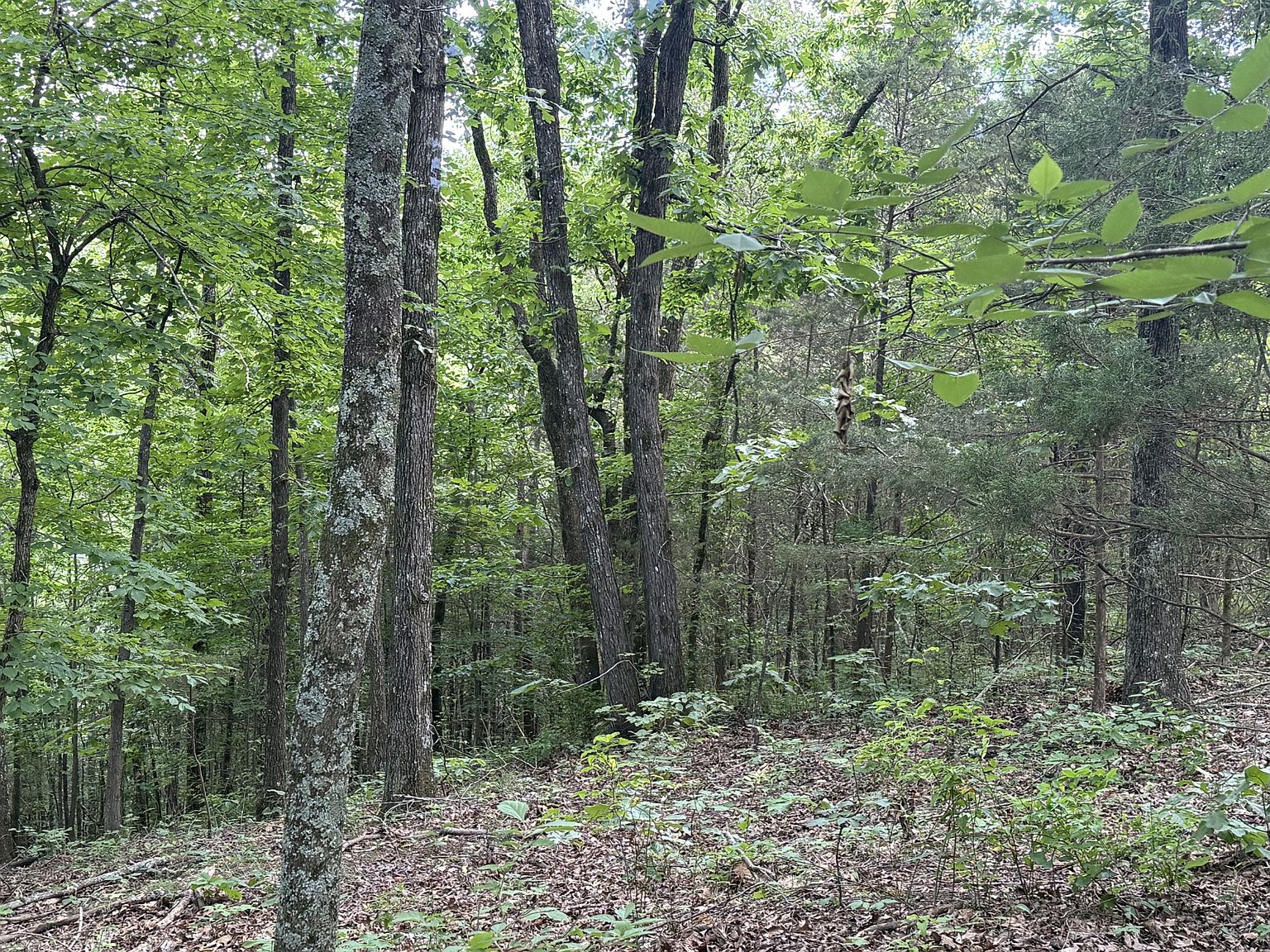 0 Jack Holt Rd — home for sale, photo 16
