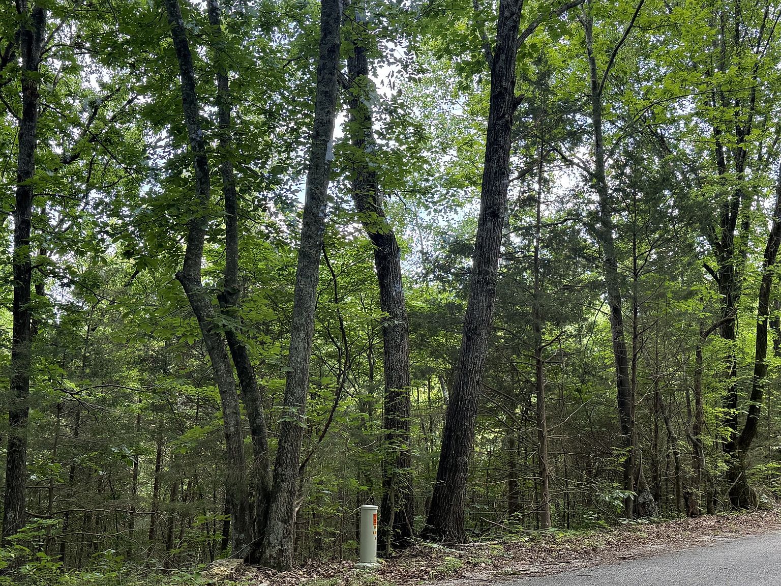 0 Jack Holt Rd — home for sale, photo 17