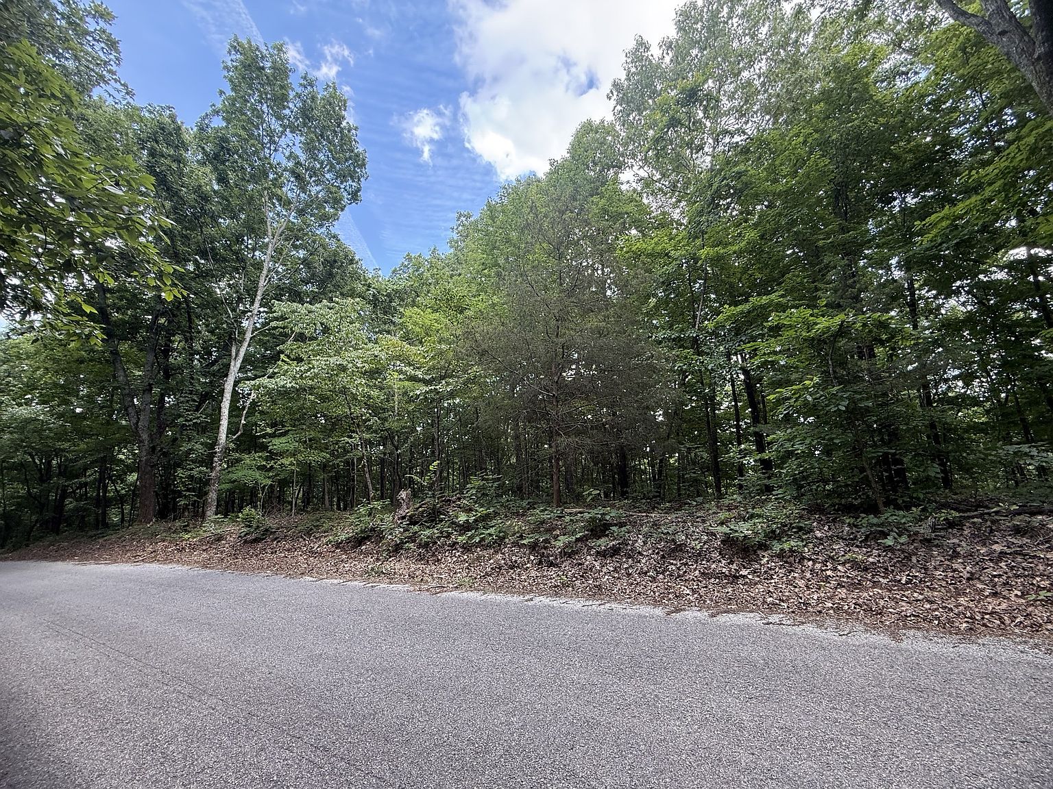0 Jack Holt Rd — home for sale, photo 18