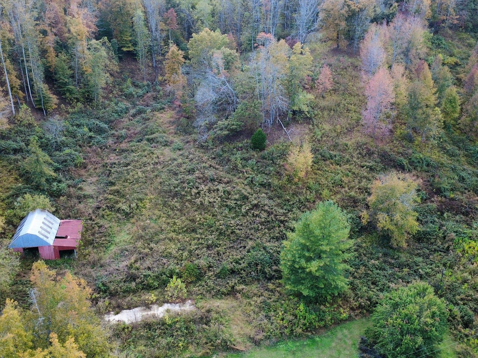 440 Big Spring Hollow Rd — home for sale, photo 4