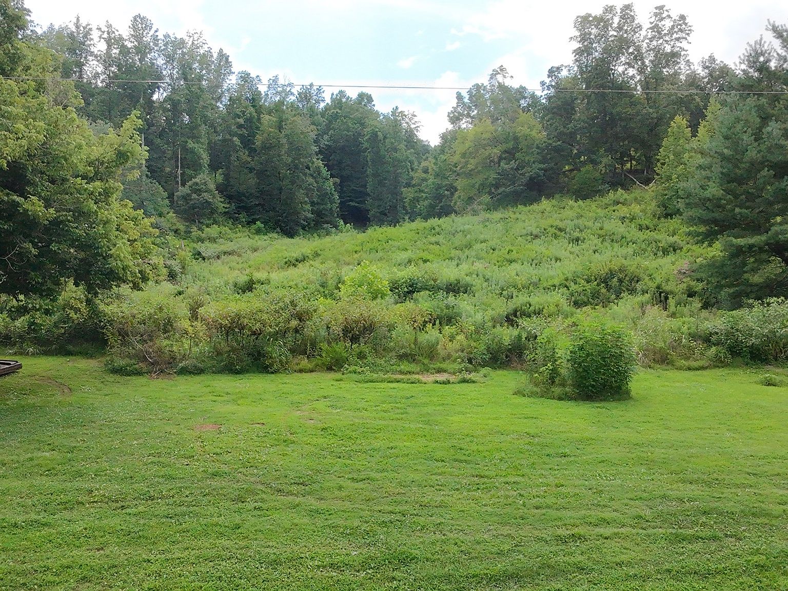 Open grassy yard leading to dense field and forest beyond under a cloudy sky.