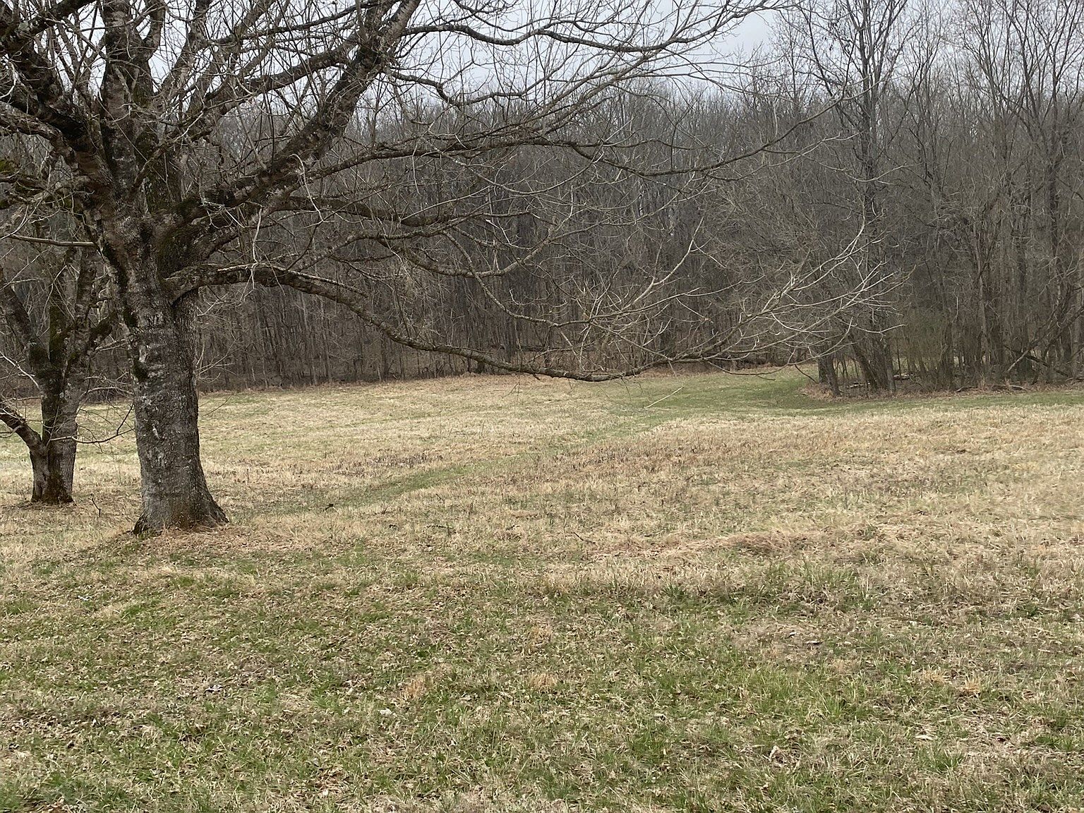 765 Scenic Cir photo 6 Open field with brown grass and leafless trees in the background on a gray day, suggesting early spring or winter.